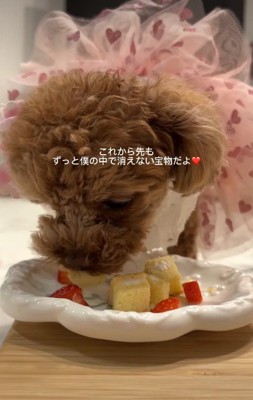 ラナちゃんの誕生日会