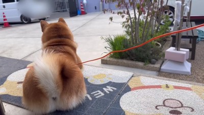 背中がなんだか切なげ…