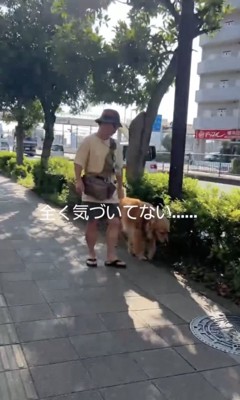 近くまで来たけれど