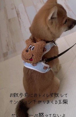 許さざるを得ない…