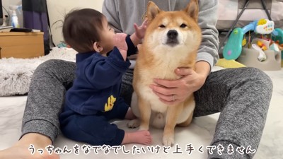 うにくんに触りたい!