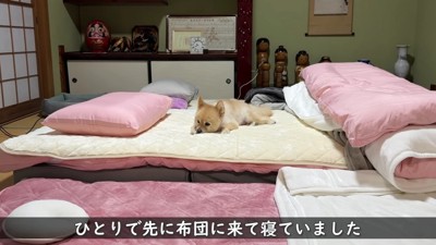 夜は布団で眠ります