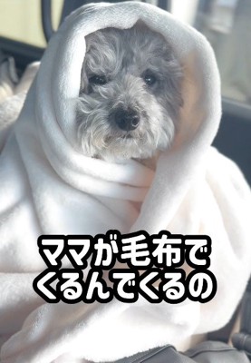 毛布で包むと…