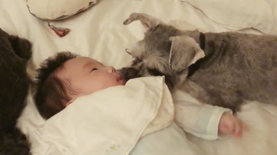 赤ちゃんにキスする犬