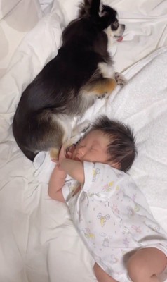 すずちゃんと赤ちゃん4