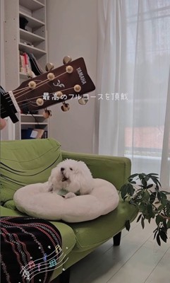 弾き語りを聴くメロンさん⑩