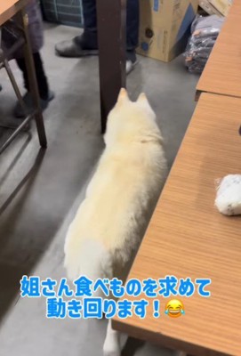 挨拶周りと食事がメイン