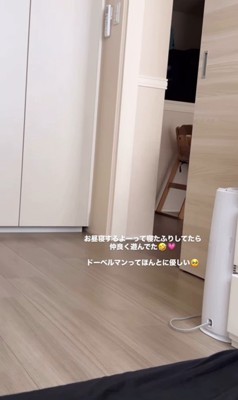 赤ちゃんと遊ぶリーベちゃん