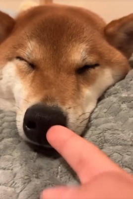 指をぐりぐり回す