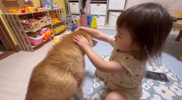 すずちゃんを見る娘さん