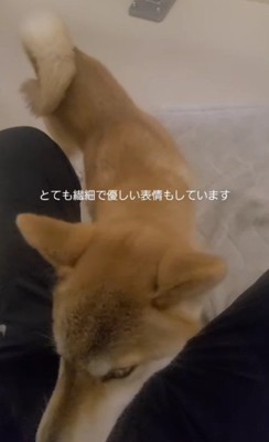 徐々に近づいて…