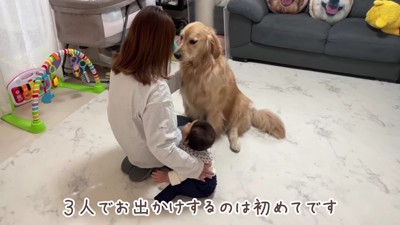 今日はお留守番