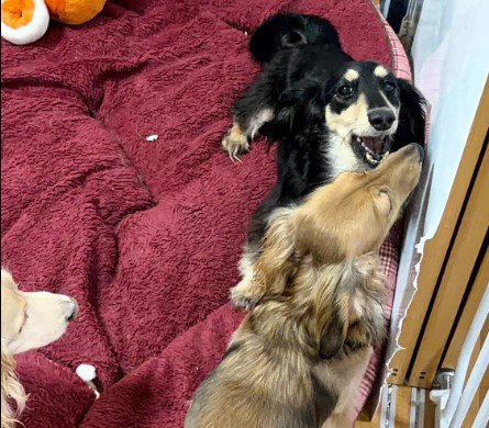 とっても仲良し♪