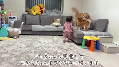 さっそくワンプロ開始！