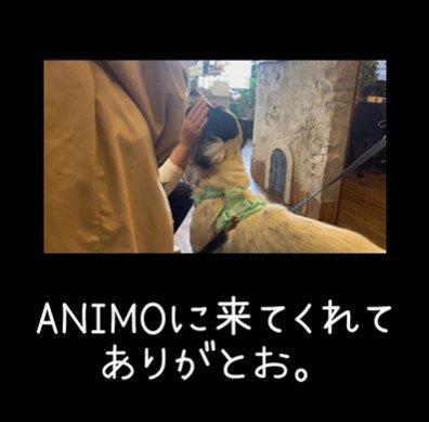 テトくんが幸せを掴むまで7