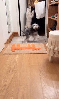 バンデくんとなぎちゃんの本当のおかえり6