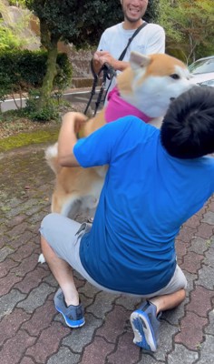 しゃがんだ人に乗りかかって顔を舐める秋田犬