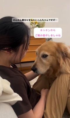 甘えながらご飯を気にするハルちゃん6