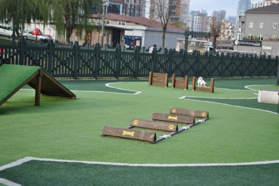 ドッグラン、アジリティー