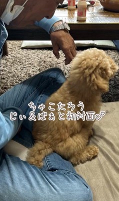 ちゃこたろう君と祖父母の初対面