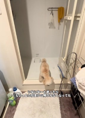 「これ…どうやるの？」