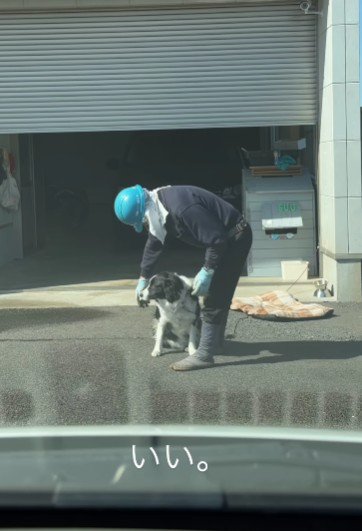 すうちゃんを撫で始めた♡