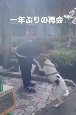 男性の匂いを嗅ぐ犬