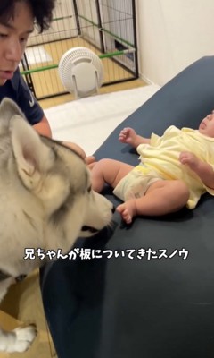 優しいお兄ちゃんです