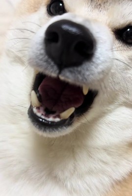 「あー」と声を出してみたら…