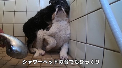 パニックになってしまった