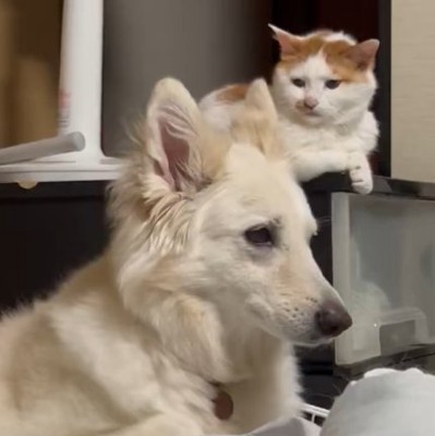 尊い素敵な時間