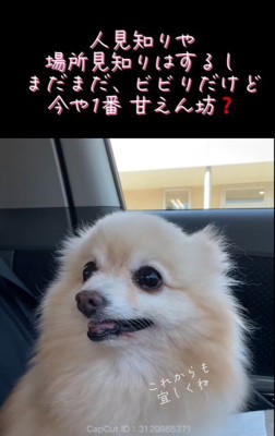 まりもちゃんの変化⑩