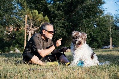 指示する男性とそっぽを向く犬
