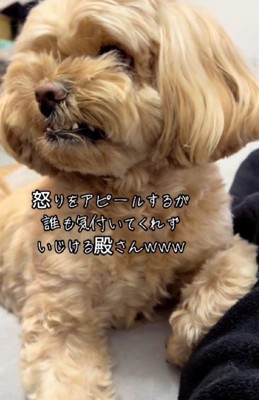 「ホラ、怒ってるよ…！！」