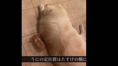 少しずつ仲良しに