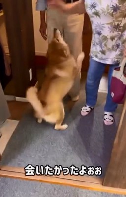 大喜びのぽてとくん