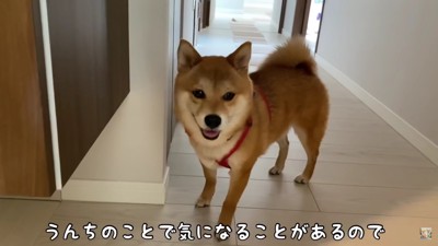 福ちゃんも頑張ります