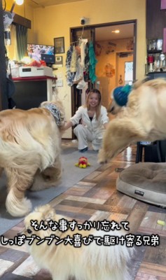 大歓喜でお出迎え♡