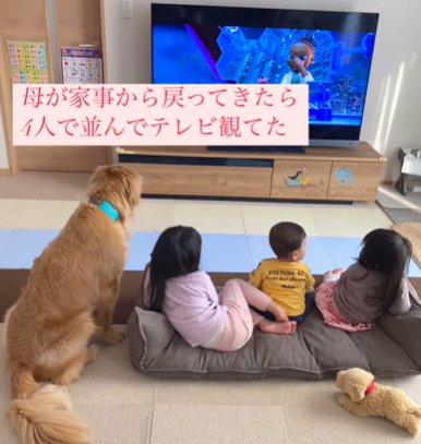 テレビの前に綺麗に並ぶゴールデンレトリバーと3人の子どもたち