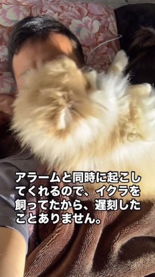 眠っている飼い主の顔の上に横になる犬