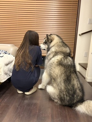後ろ姿