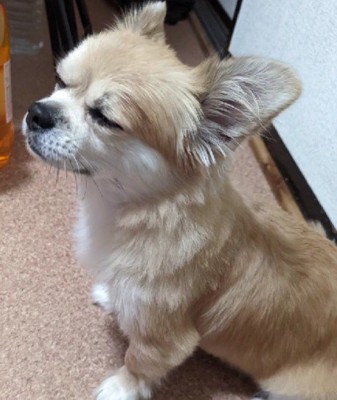 幸せで満ち足りた表情に