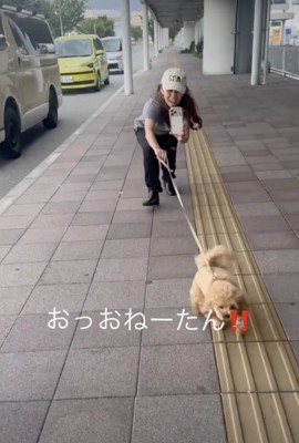 全力でお姉ちゃんの元へ!