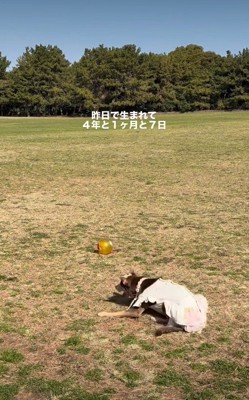 4年がたった現在は…?