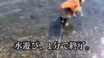 上がりたいのに、怖くて動けない…