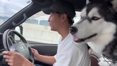 車の中でワガママが止まらない