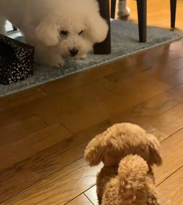 「お前は誰だ!!」