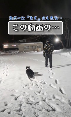 こっそりほふく前進！