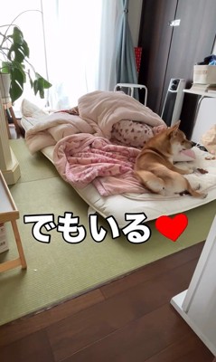結局、そばにいてくれます♡