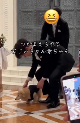 飼い主さんのお迎え